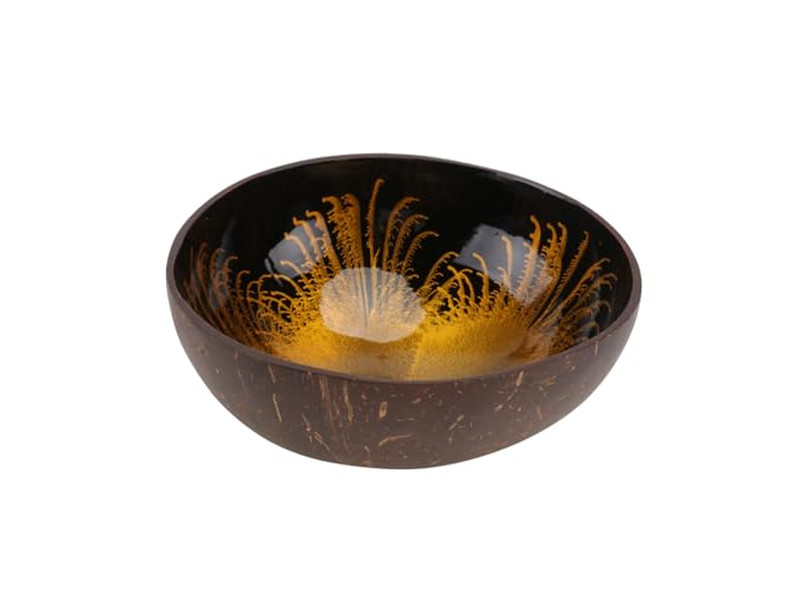 بطانات بناتون للأوعية بلاستيك مطبخ وعاء جوز الهند ومجموعة ملعقة سموذي