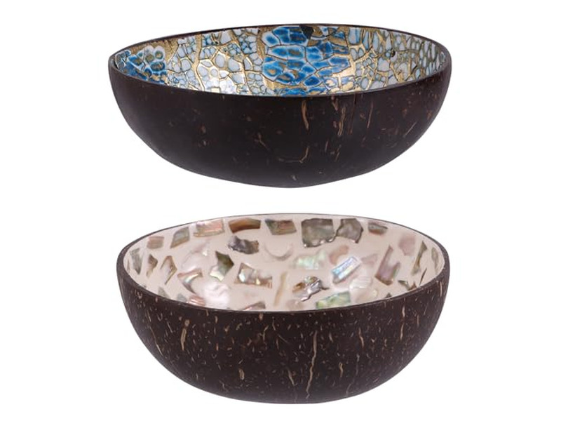 وعاء جوز الهند المنحوت أحدث الأوعية اللامعة بنمط فريد من قشرة الجوز مع ملاعق