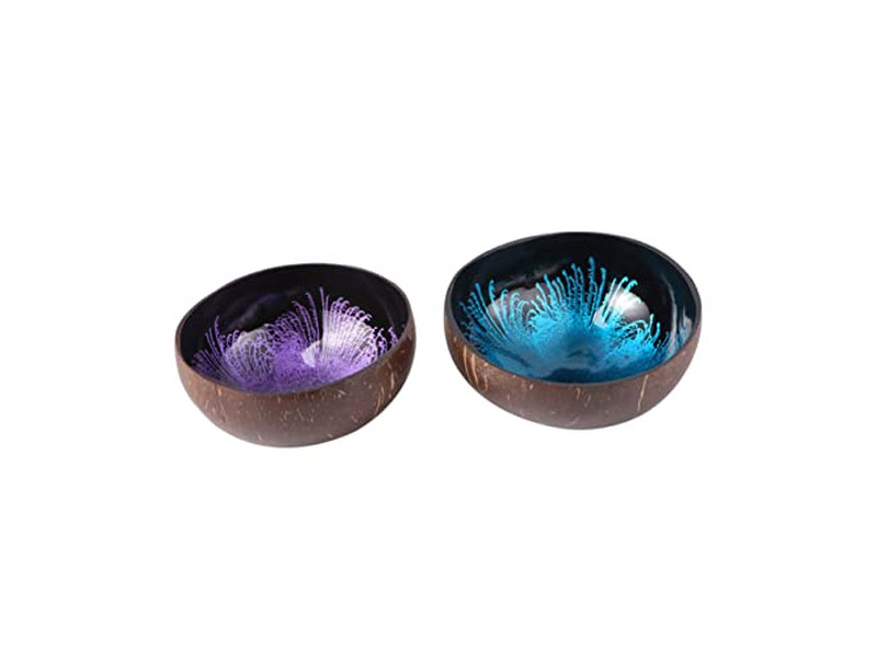 وعاء جوز الهند بنمط قشرة سلطات أوعية مصنوعة حسب الطلب ذات جودة عالية