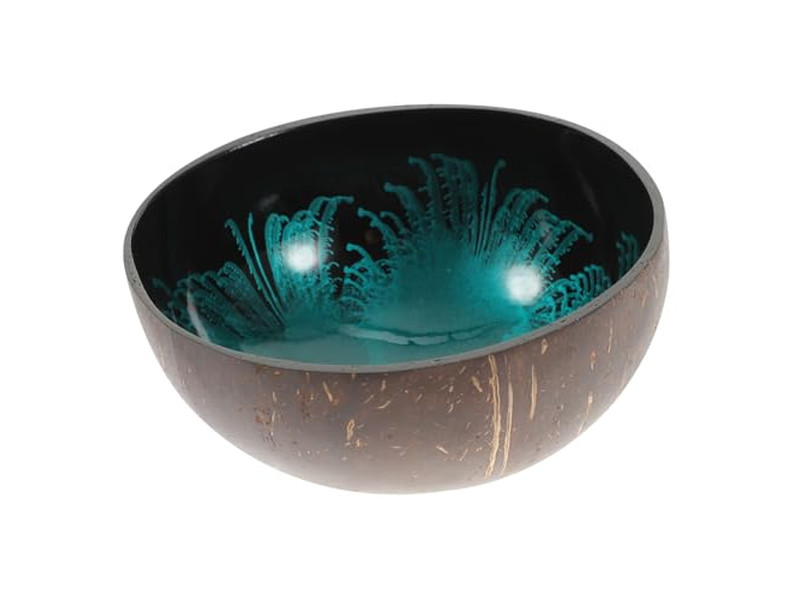 أوعية جوز الهند لأوعية أكاي قشرة صلبة حاوية مفاتيح خرسانية مجموعة صغيرة