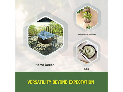 أوعية الخيزران 7 للطعام وعاء الآيس كريم من جوز الهند 32 4 قشرة ضخمة عضوية