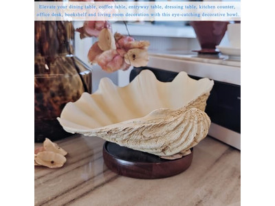 وعاء جوز الهند للنباتات قشرة غير مصقولة نقش أوعية خشبية وأطباق