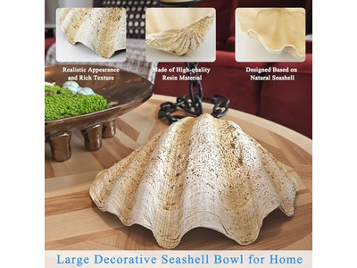 وعاء جوز الهند للنباتات قشرة غير مصقولة نقش أوعية خشبية وأطباق