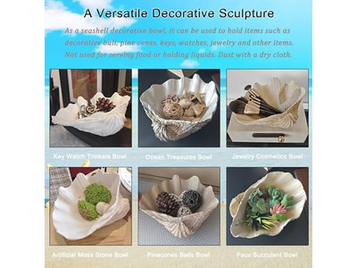 وعاء جوز الهند للنباتات قشرة غير مصقولة نقش أوعية خشبية وأطباق