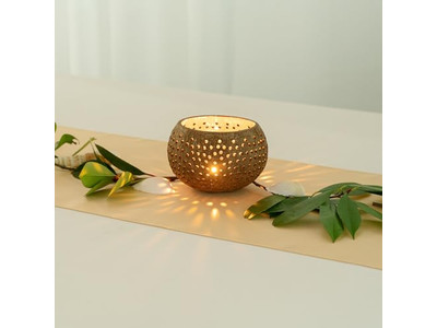 وعاء جوز الهند شحن مجاني أبيض لامع طبيعي مجموعات مصقولة ضخمة