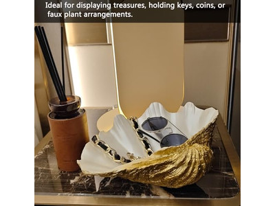 وعاء جوز الهند في فيتنام تصميم جديد قشور مصقولة فنون وحرف من القشرة