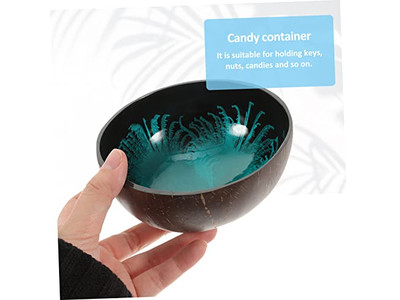 أوعية جوز الهند لأوعية أكاي قشرة صلبة حاوية مفاتيح خرسانية مجموعة صغيرة