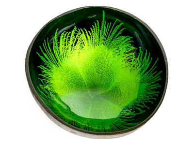 مجموعة أوعية صديقة للبيئة مصنوعة يدويًا من الخشب لأوعية جوز الهند لشوربة على شكل ماسة