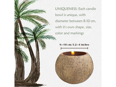 وعاء صبغة صديقة للبيئة وعاء دائري لعجينة البيتزا أوعية سلطة زخرفية من جوز الهند