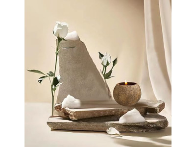 وعاء صبغة صديقة للبيئة وعاء دائري لعجينة البيتزا أوعية سلطة زخرفية من جوز الهند