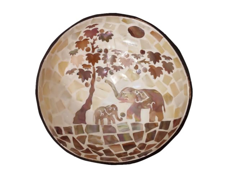 وعاء جوز الهند المنقوش نصفي قشرة جوز الهند مجموعة تقديم كبيرة حامل طبيعي