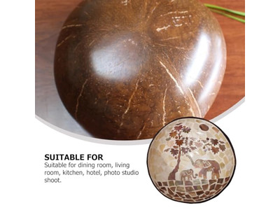 وعاء جوز الهند المنقوش نصفي قشرة جوز الهند مجموعة تقديم كبيرة حامل طبيعي