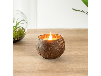 جوز الهند العضوي الطازج بيع قشور جوز الهند وعاء كوكو مصنوع يدويًا شمع