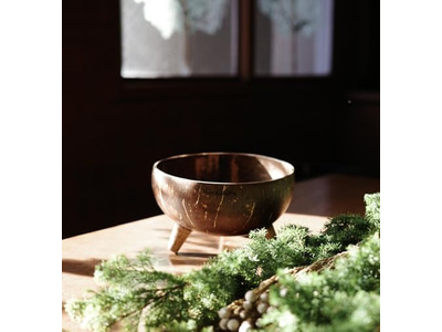 أوعية جوز الهند المطلية مجموعة أوعية ملعقة متعددة الألوان أفضل سعر مخصص