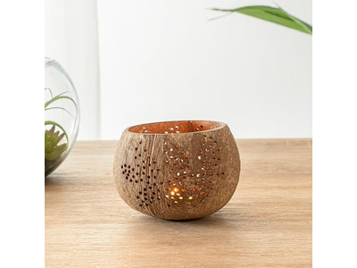 وعاء سلطة مع غطاء جوز الهند الملون للحيوانات الأليفة الصحية والمتينة