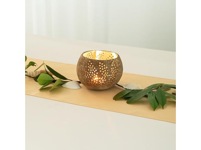 وعاء سلطة مع غطاء جوز الهند الملون للحيوانات الأليفة الصحية والمتينة