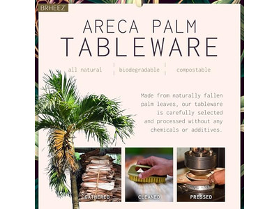 وعاء جوز الهند النباتي مع حامل خشبي بسعر رخيص في فيتنام